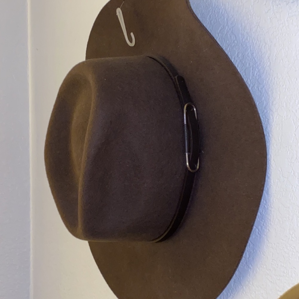 Brown fedora